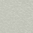 20632245-Seaglass