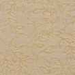 20770170-Burlap