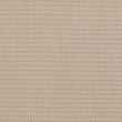 21155156-Mink