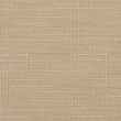 21231405-Mink