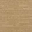 21231407-Raffia