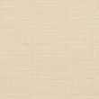 21331604-Tumbleweed