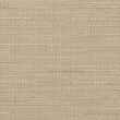 21331605-Mink