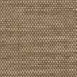 22329730-Green Tea