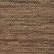 22329731-Cinnamon