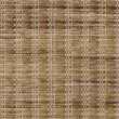 22329734-Flax