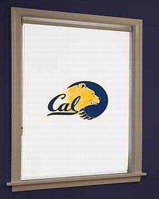 BlindsOnTime RollerShade Collegiate Collection
