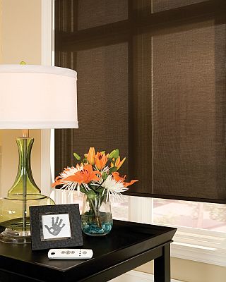 Comfortex Envision Roller Shades