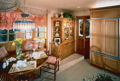 kitchen-window
