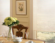 Light Filtering Horizontal Shades