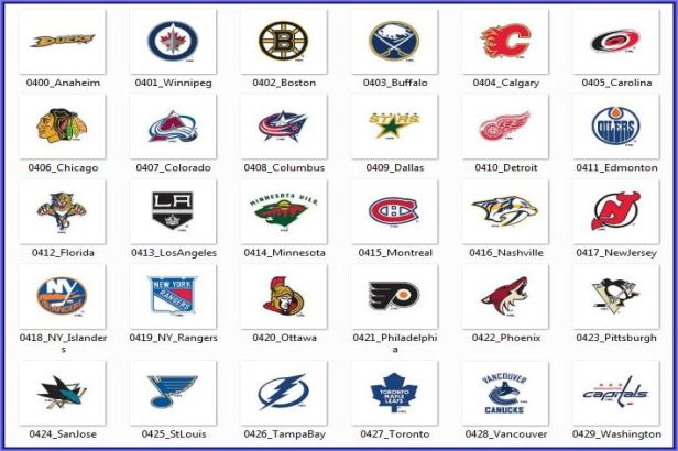 NHL Collection Roller Shades