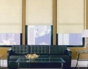 Roller Shades and Solar Shades