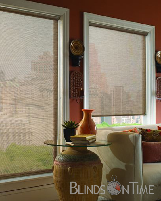 Designer Woven roller Shades