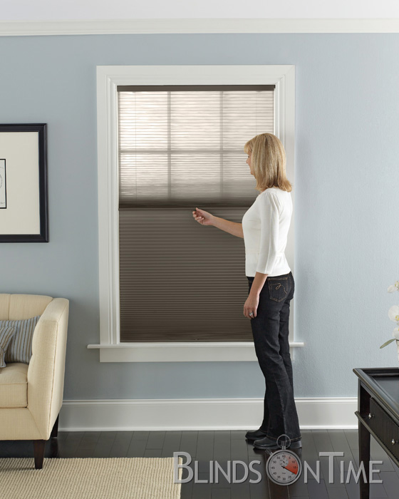 Levolor Accordia Cellular Shades Blinds On Time