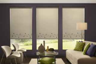 Roller Shades with border