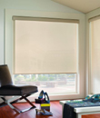 BlindsOnTime RollerShade Premium Screens