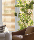 Levolor 2" NuWood Composite Blinds